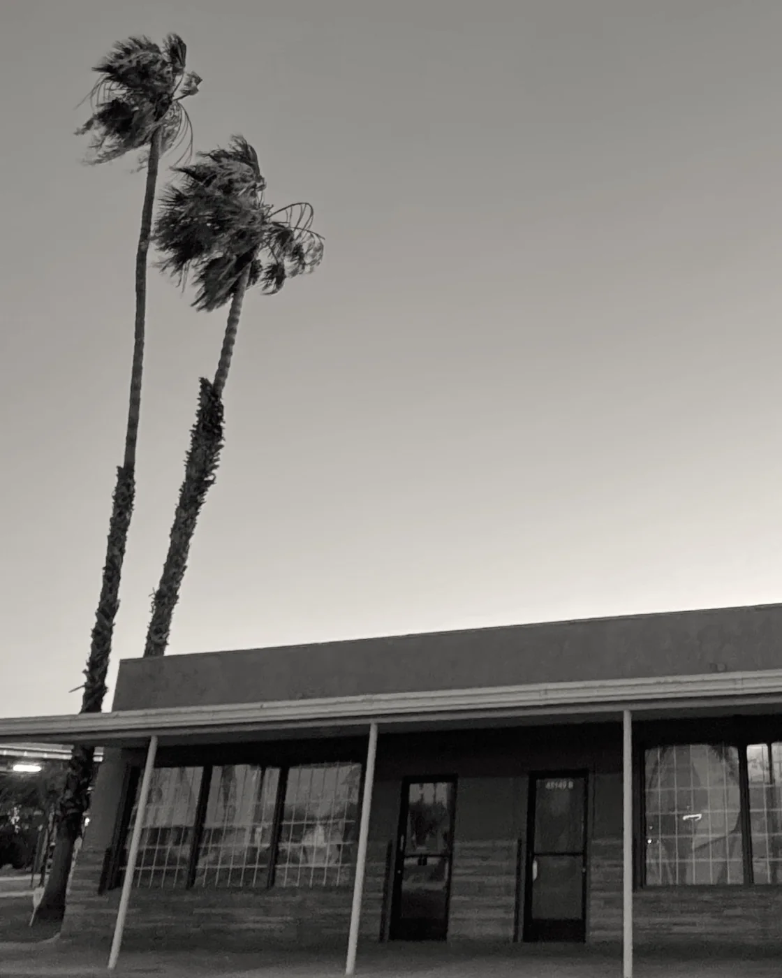The CASAPRANA studio exterior with desert palms in downtown Indio at dusk